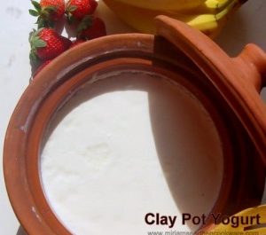 Making yogurt culture from scratch using green chili