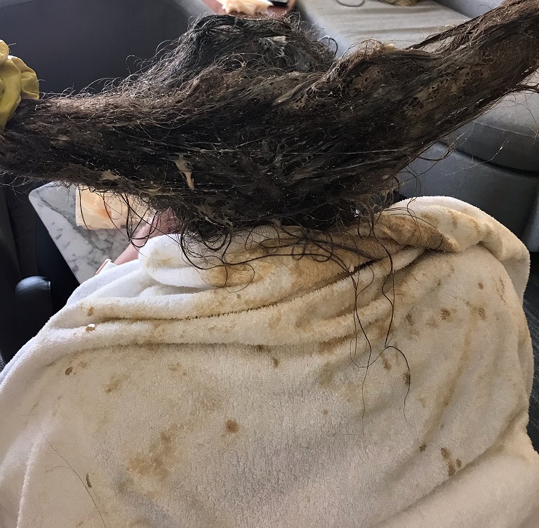 Over 9 Months matted hair detangle service by 2 techs